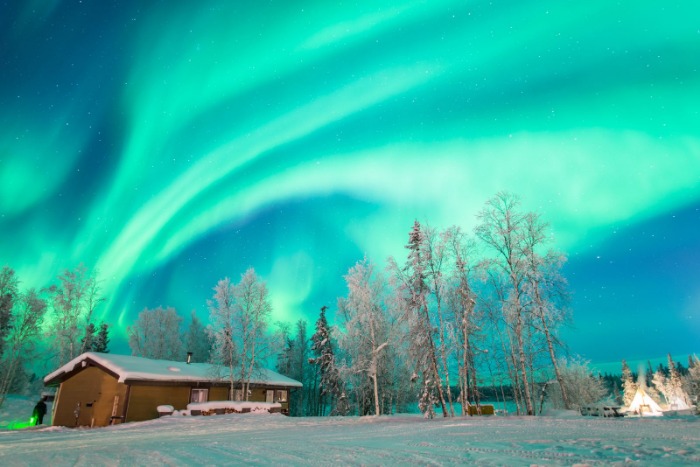 亚洲杯,张本智与吴,晙成巅峰对,世界杯预测,2026世界杯,足球赛事分析,投注策略,比赛结果